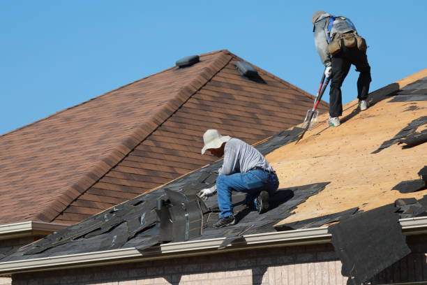 Best Roof Ventilation Installation  in Dunnellon, FL