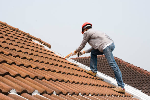 Best Tile Roofing Installation  in Dunnellon, FL