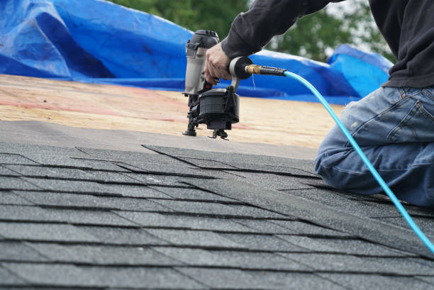 Best Chimney Flashing Repair  in Dunnellon, FL