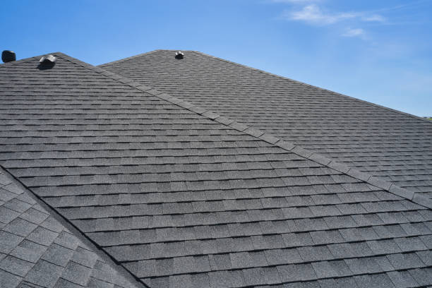 Best Roof Insulation Installation  in Dunnellon, FL